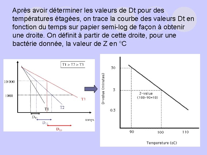 Après avoir déterminer les valeurs de Dt pour des températures étagées, on trace la