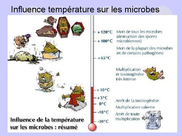 Influence température sur les microbes 