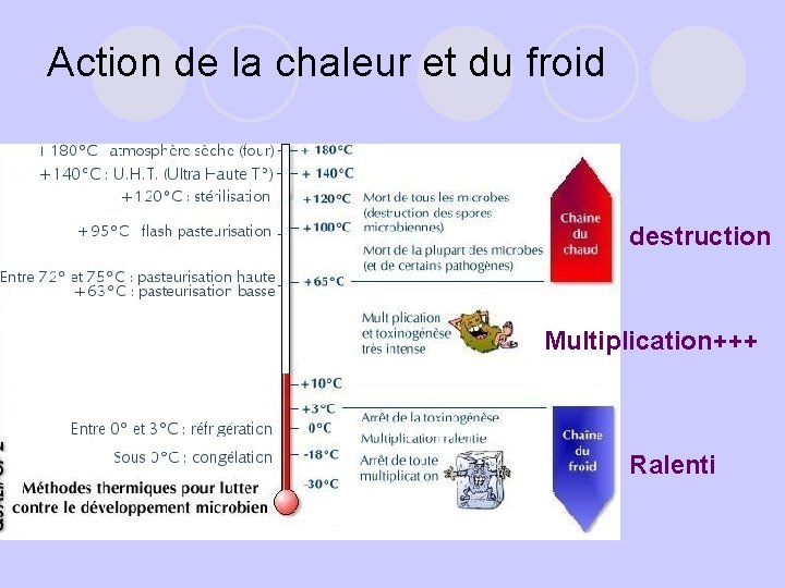 Action de la chaleur et du froid destruction Multiplication+++ Ralenti 