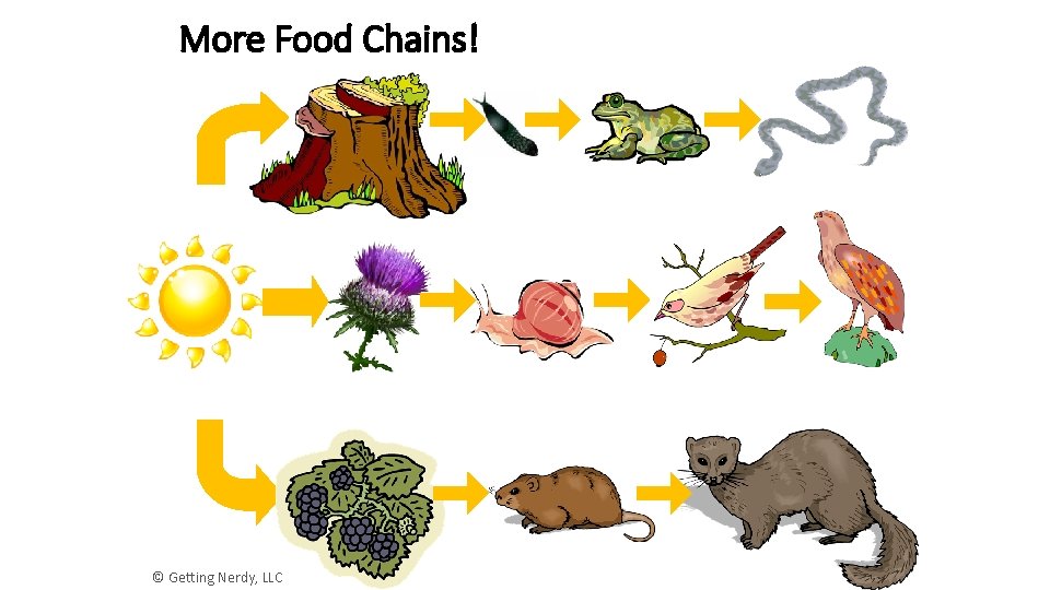 More Food Chains! © Getting Nerdy, LLC 