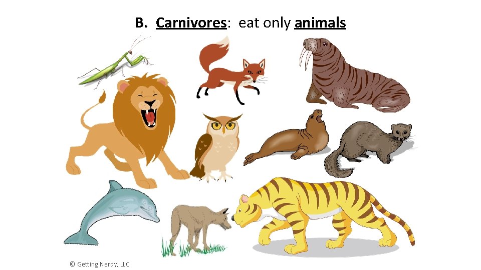 B. Carnivores: eat only animals © Getting Nerdy, LLC 