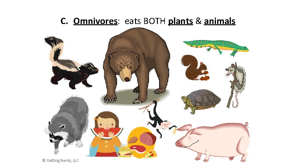 C. Omnivores: eats BOTH plants & animals © Getting Nerdy, LLC 