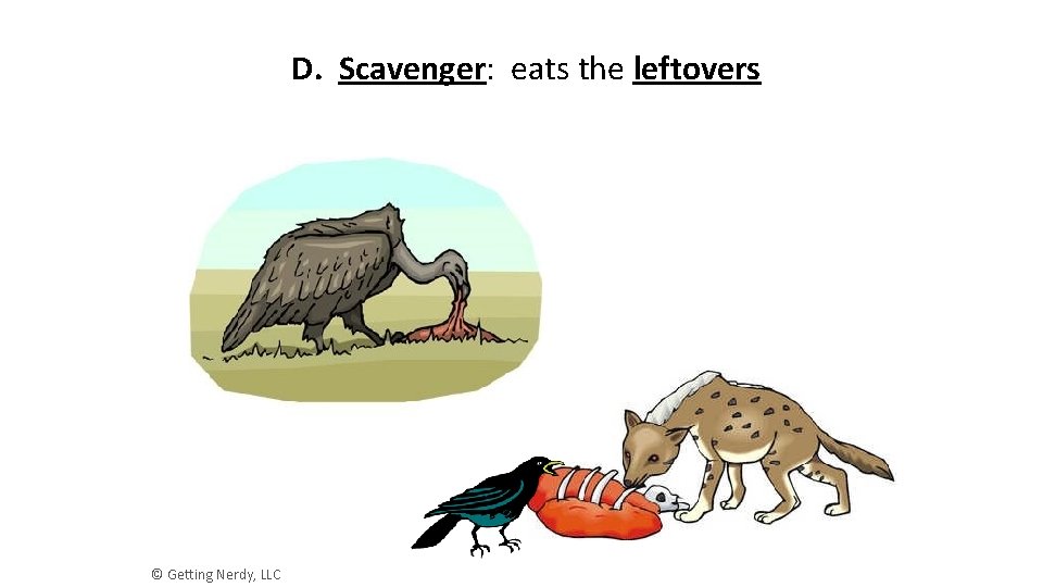 D. Scavenger: eats the leftovers © Getting Nerdy, LLC 