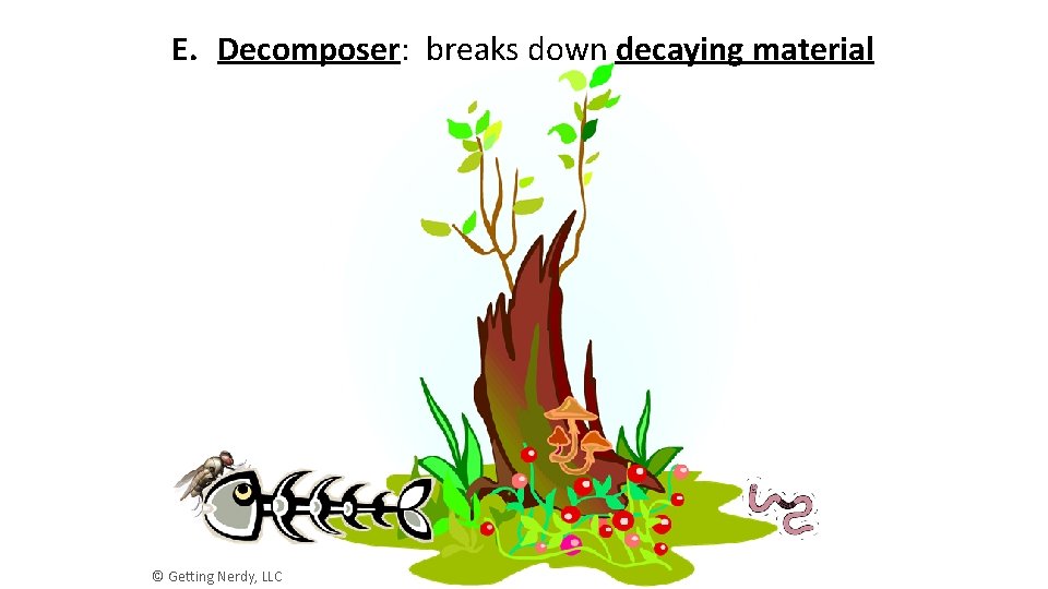 E. Decomposer: breaks down decaying material © Getting Nerdy, LLC 