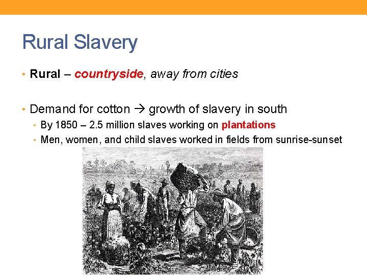 Rural Slavery • Rural – countryside, away from cities • Demand for cotton growth