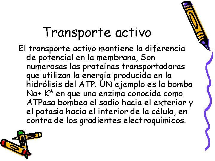 Transporte activo El transporte activo mantiene la diferencia de potencial en la membrana, Son