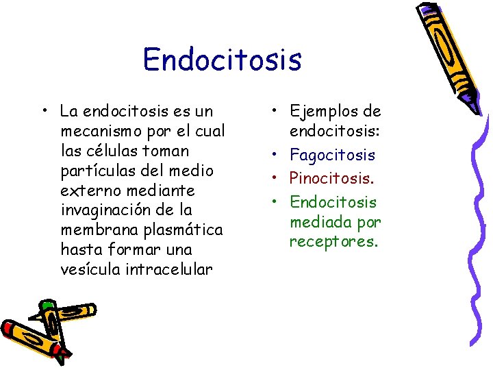 Endocitosis • La endocitosis es un mecanismo por el cual las células toman partículas