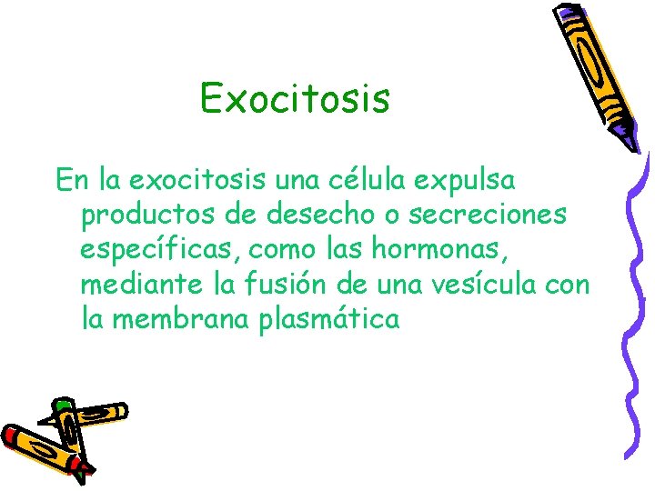 Exocitosis En la exocitosis una célula expulsa productos de desecho o secreciones específicas, como