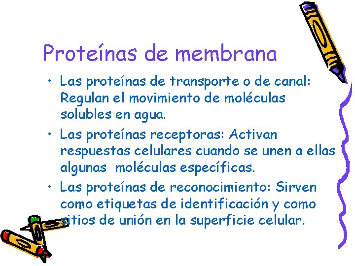 Proteínas de membrana • Las proteínas de transporte o de canal: Regulan el movimiento