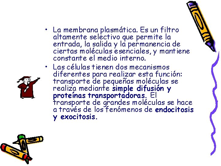  • La membrana plasmática. Es un filtro altamente selectivo que permite la entrada,