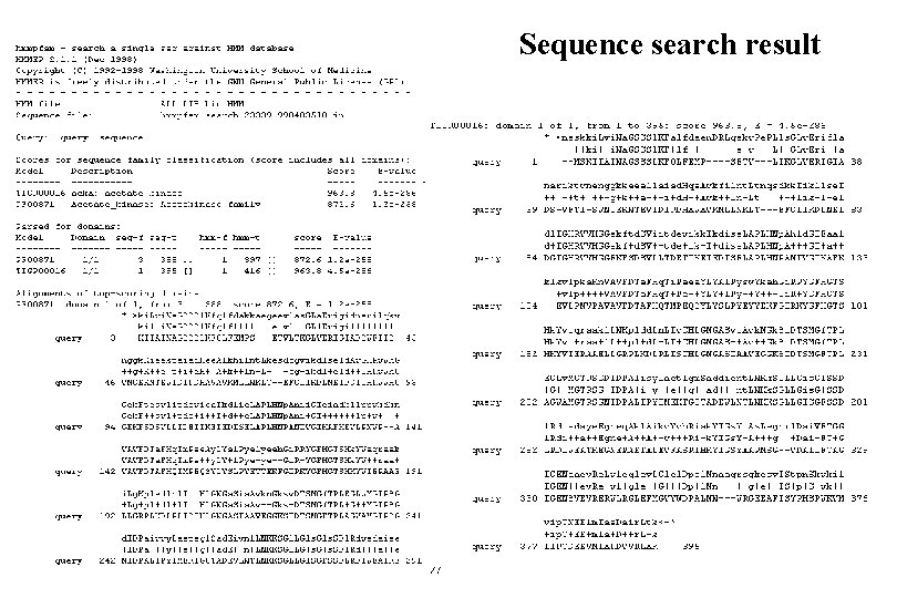 Sequence search result 