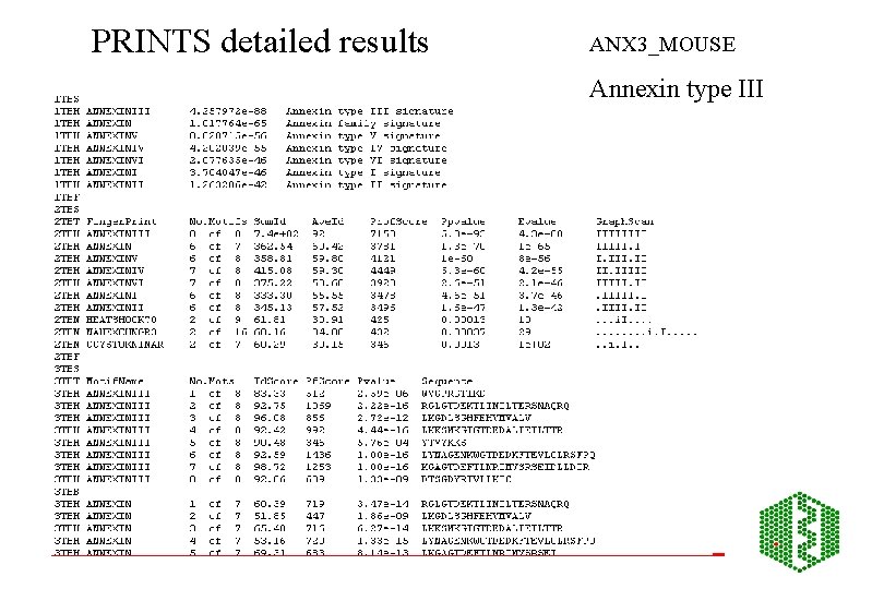 PRINTS detailed results ANX 3_MOUSE Annexin type III 