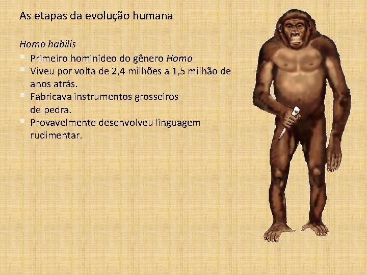 As etapas da evolução humana Homo habilis § Primeiro hominídeo do gênero Homo §