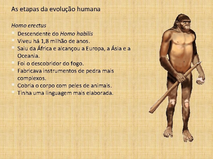 As etapas da evolução humana Homo erectus § Descendente do Homo habilis § Viveu
