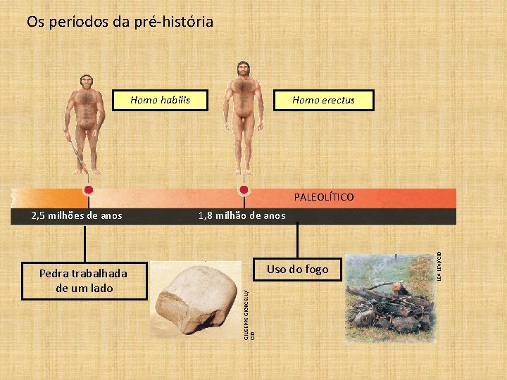 Os períodos da pré-história Homo habilis Homo erectus PALEOLÍTICO Uso do fogo LEA LEVI/CID