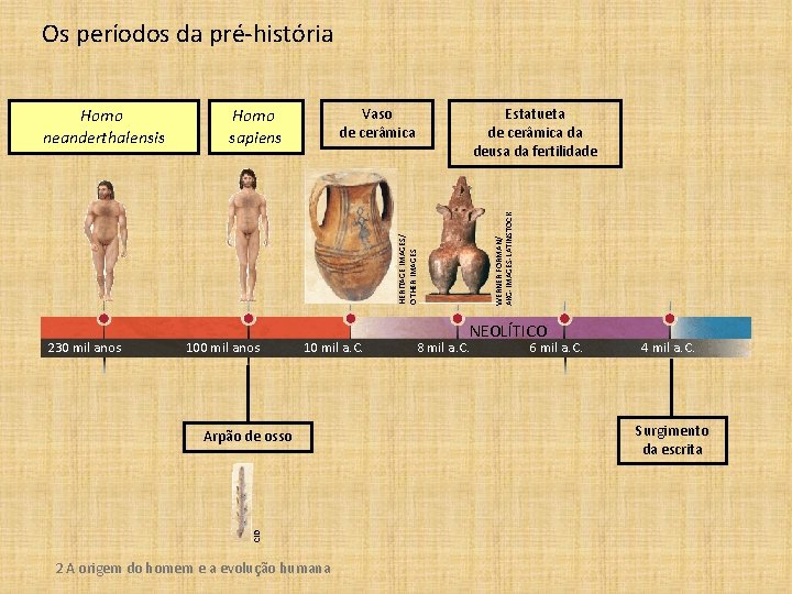 Os períodos da pré-história Estatueta de cerâmica da deusa da fertilidade WERNER FORMAN/ AKG-IMAGES-LATINSTOCK