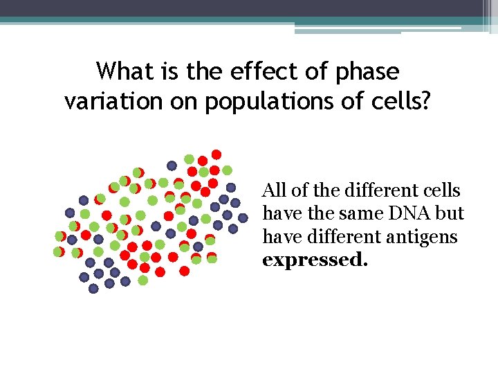 What is the effect of phase variation on populations of cells? All of the