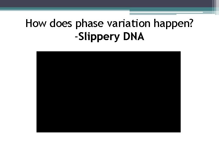 How does phase variation happen? -Slippery DNA 