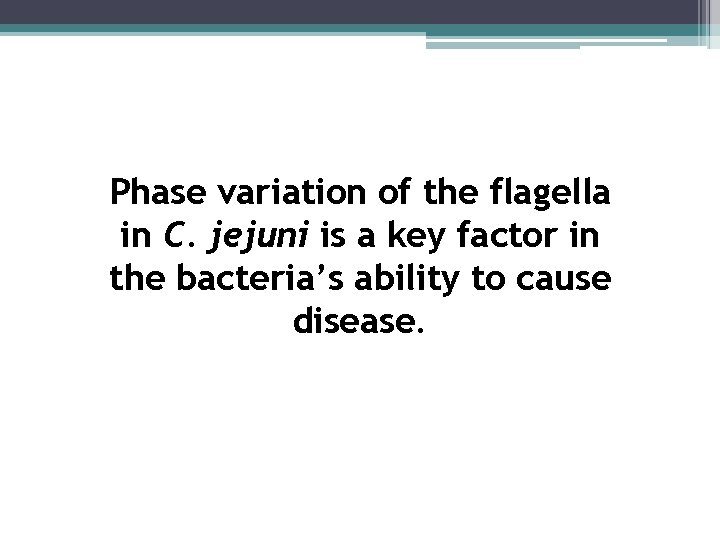 Phase variation of the flagella in C. jejuni is a key factor in the