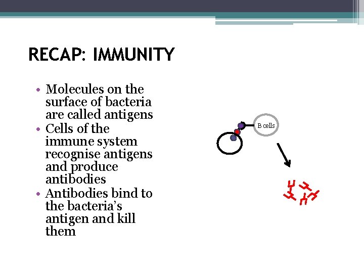 RECAP: IMMUNITY • Molecules on the surface of bacteria are called antigens • Cells