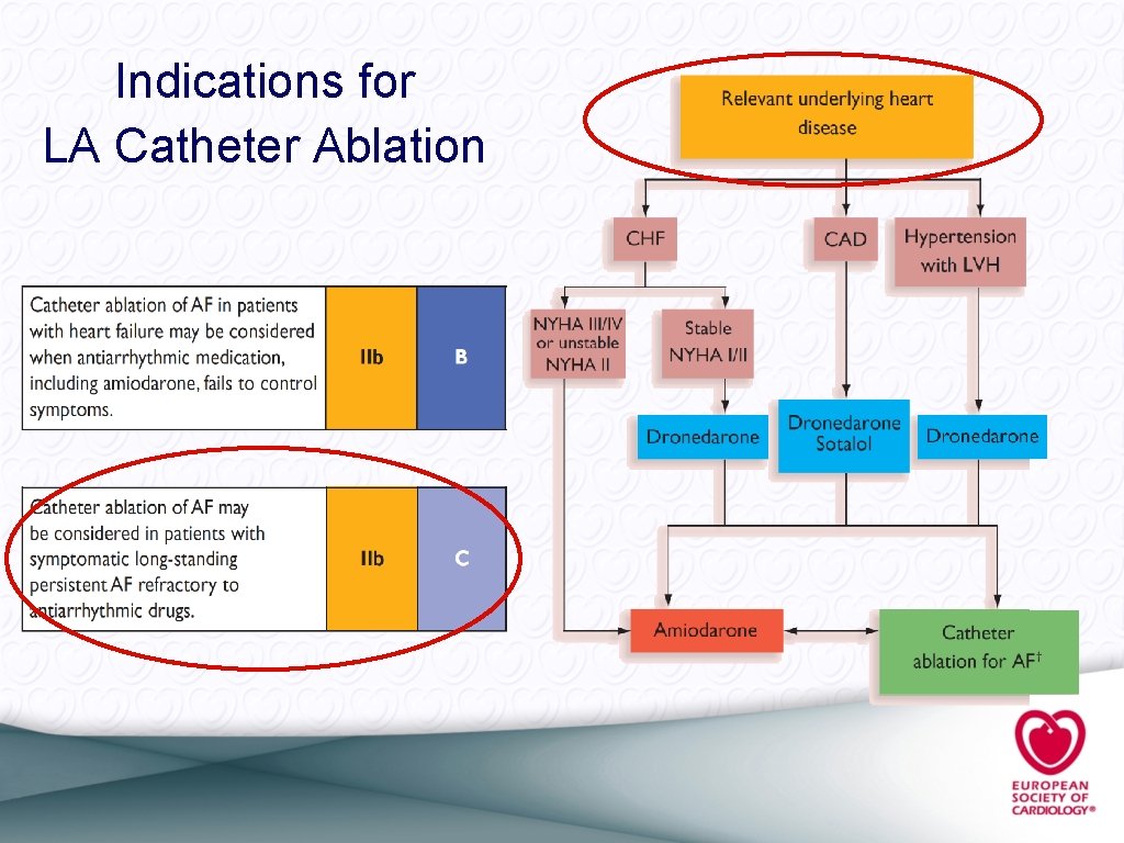 Indications for LA Catheter Ablation 