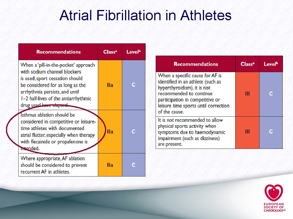 Atrial Fibrillation in Athletes 