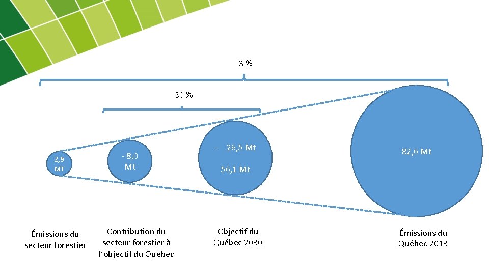 3% 30 % 2, 9 MT Émissions du secteur forestier - 8, 0 Mt