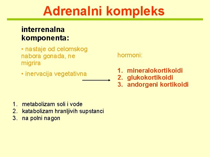 Adrenalni kompleks interrenalna komponenta: • nastaje od celomskog nabora gonada, ne migrira • inervacija