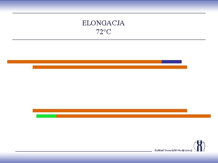 ELONGACJA 72°C Zakład Genetyki Medycznej 