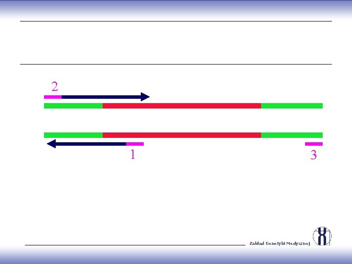 2 1 3 Zakład Genetyki Medycznej 