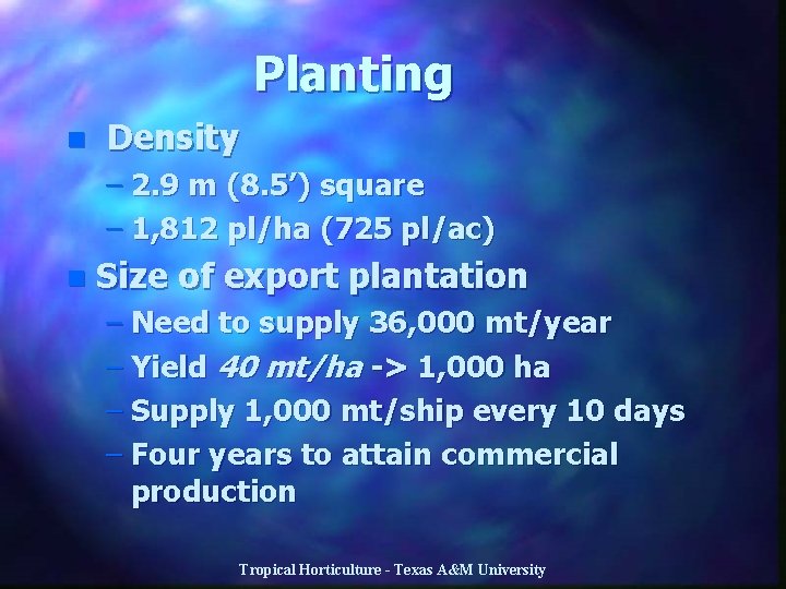 Planting n Density – 2. 9 m (8. 5’) square – 1, 812 pl/ha