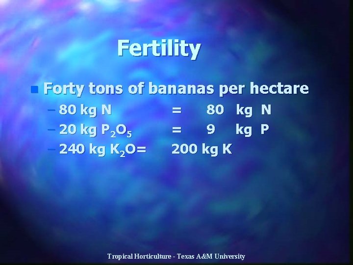 Fertility n Forty tons of bananas per hectare – 80 kg N – 20