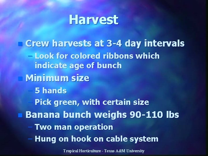 Harvest n Crew harvests at 3 -4 day intervals – Look for colored ribbons
