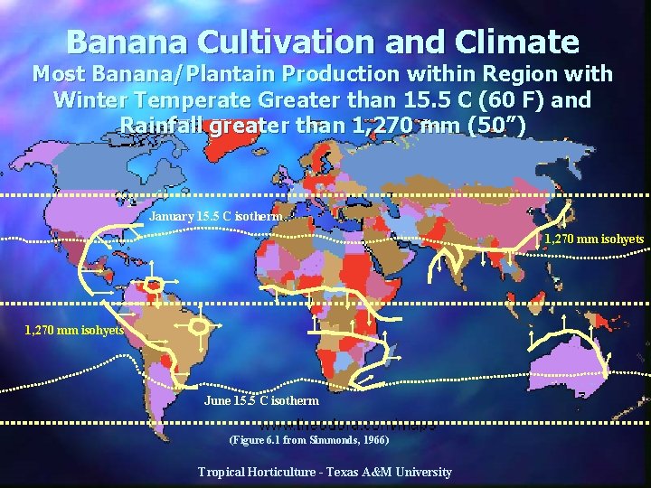 Banana Cultivation and Climate Most Banana/Plantain Production within Region with Winter Temperate Greater than