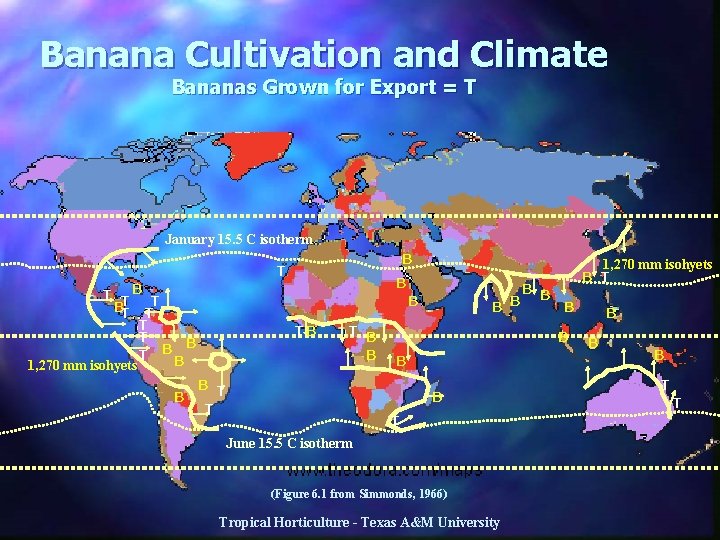 Banana Cultivation and Climate Bananas Grown for Export = T January 15. 5 C