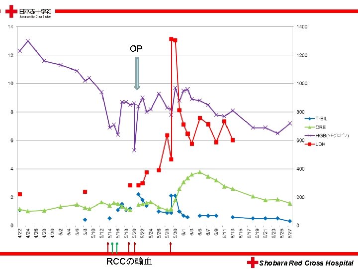 OP RCCの輸血 　　　Shobara Red Cross Hospital 