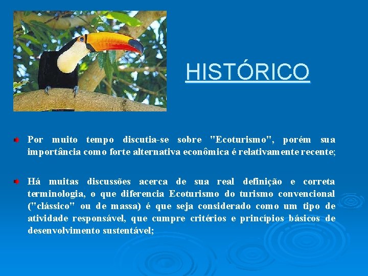 HISTÓRICO Por muito tempo discutia-se sobre "Ecoturismo", porém sua importância como forte alternativa econômica