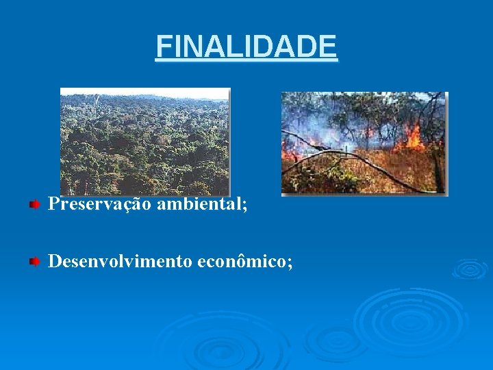 FINALIDADE Preservação ambiental; Desenvolvimento econômico; 