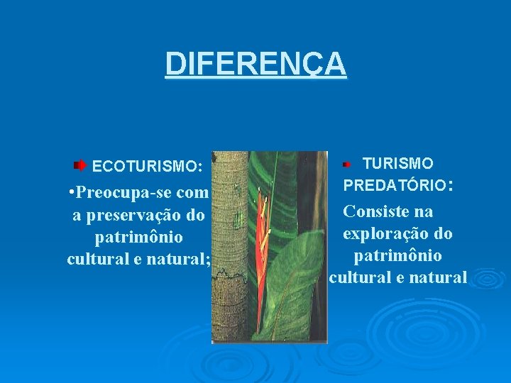 DIFERENÇA ECOTURISMO: • Preocupa-se com a preservação do patrimônio cultural e natural; TURISMO PREDATÓRIO: