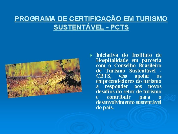 PROGRAMA DE CERTIFICAÇÃO EM TURISMO SUSTENTÁVEL - PCTS Ø Iniciativa do Instituto de Hospitalidade