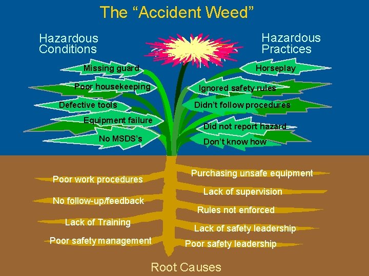 The “Accident Weed” Hazardous Conditions Practices Missing guard Horseplay Poor housekeeping Ignored safety rules