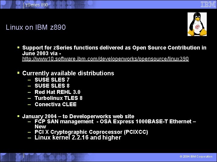 z. Series 890 Linux on IBM z 890 § Support for z. Series functions