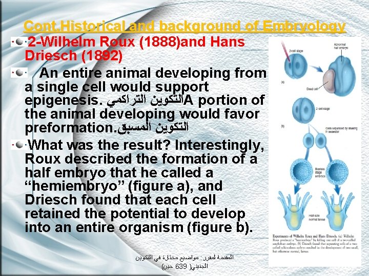 Cont. Historical and background of Embryology 2 -Wilhelm Roux (1888)and Hans Driesch (1892) An