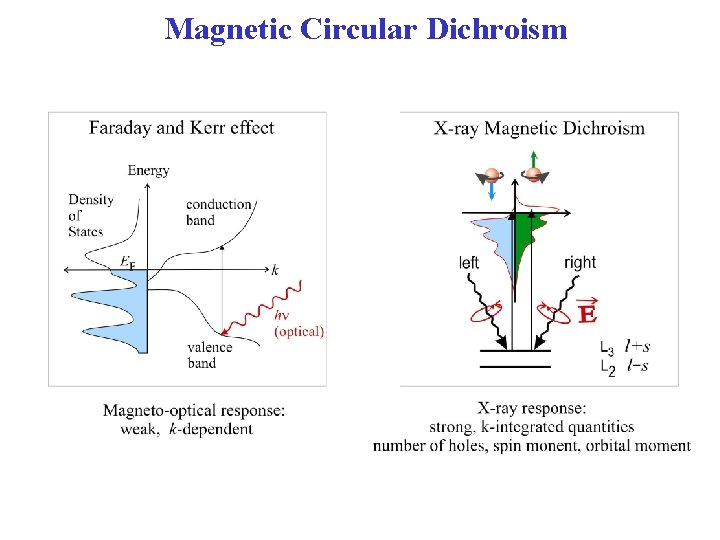 Magnetic Circular Dichroism 