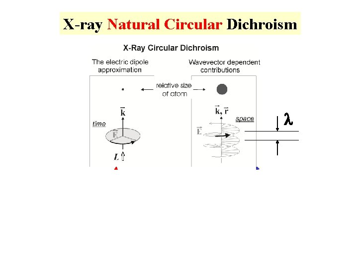 X-ray Natural Circular Dichroism l s k=k 0 w/c Dipole =0 for x-rays Chirality