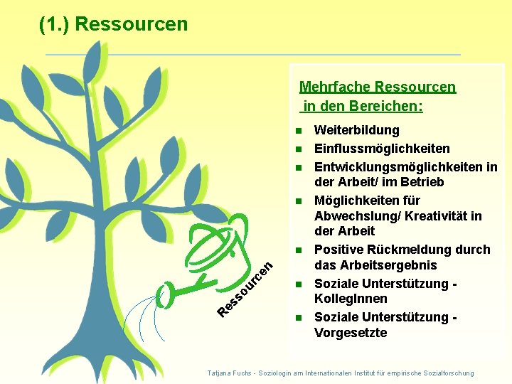 (1. ) Ressourcen Mehrfache Ressourcen in den Bereichen: n n n R es so