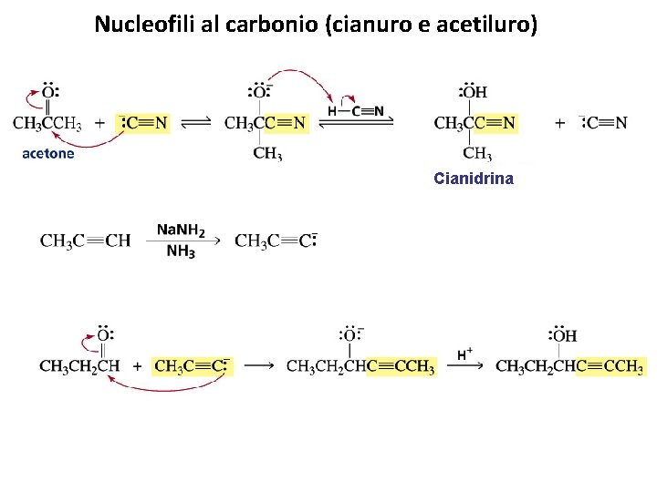 Nucleofili al carbonio (cianuro e acetiluro) Cianidrina 