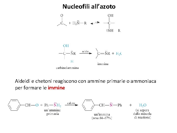 Nucleofili all’azoto Aldeidi e chetoni reagiscono con ammine primarie o ammoniaca per formare le