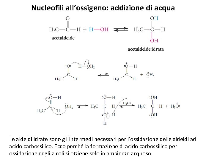 Nucleofili all’ossigeno: addizione di acqua Le aldeidi idrate sono gli intermedi necessari per l’ossidazione