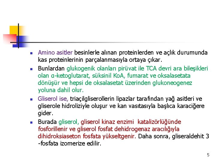 n n Amino asitler besinlerle alınan proteinlerden ve açlık durumunda kas proteinlerinin parçalanmasıyla ortaya